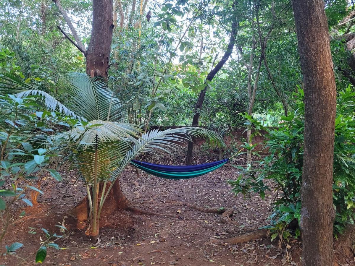 Sunny'S Paradise Gokarna (Karnataka) Exteriör bild