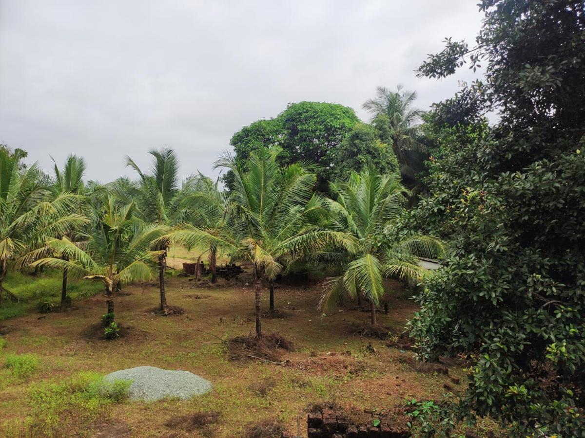 Sunny'S Paradise Gokarna (Karnataka) Rum bild
